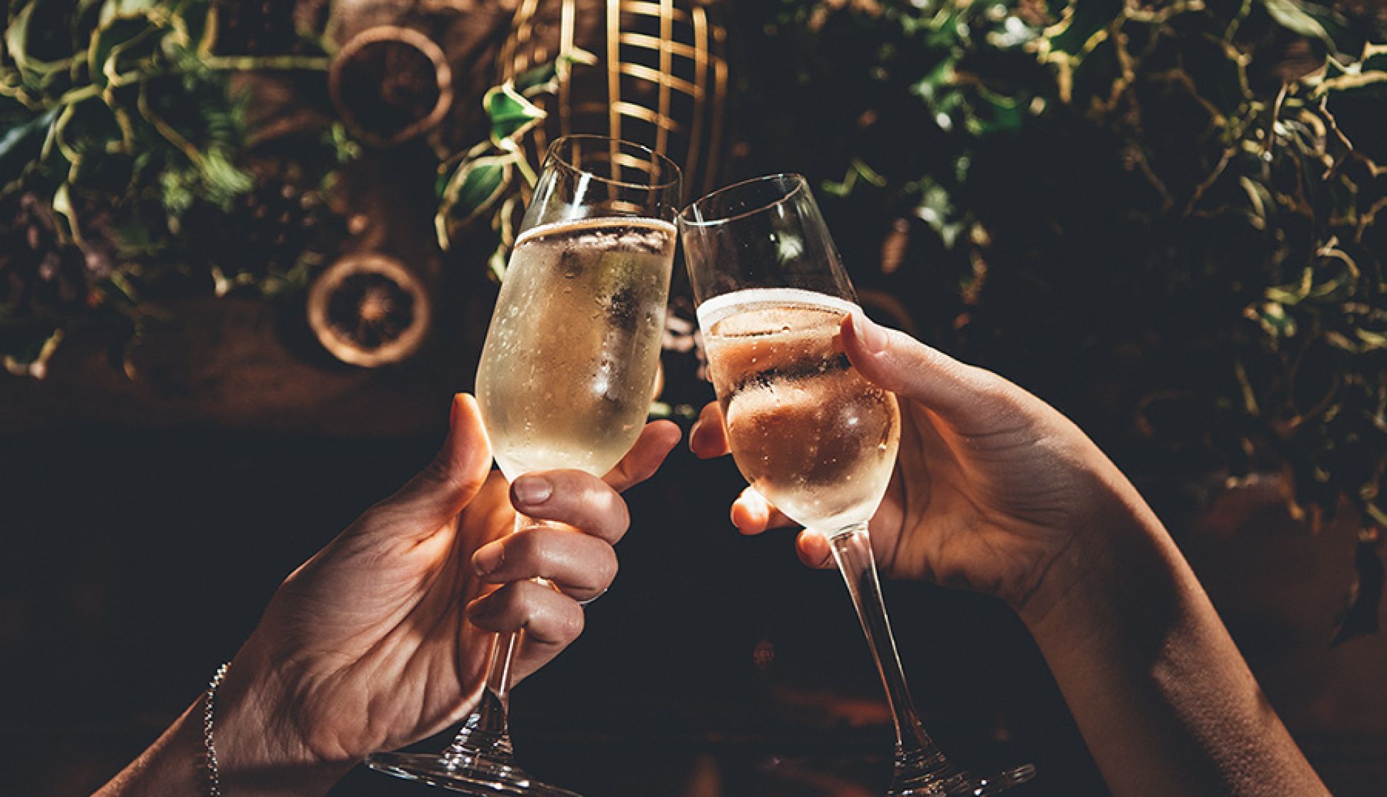 Christmas Cheers