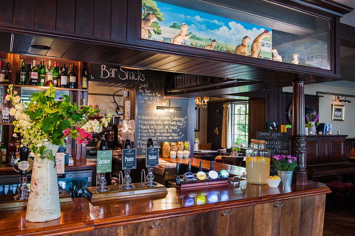 Discover the Charm of Thomas Lord: Where Every Stay Feels Like Home